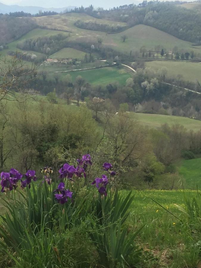 Green B&B Urbino Ca Del Vento Exteriér fotografie