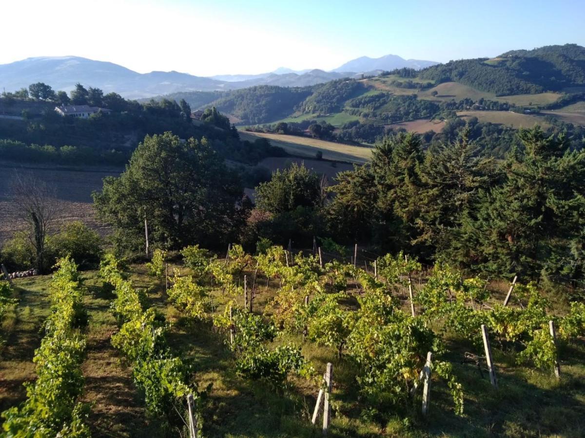 Green B&B Urbino Ca Del Vento Exteriér fotografie