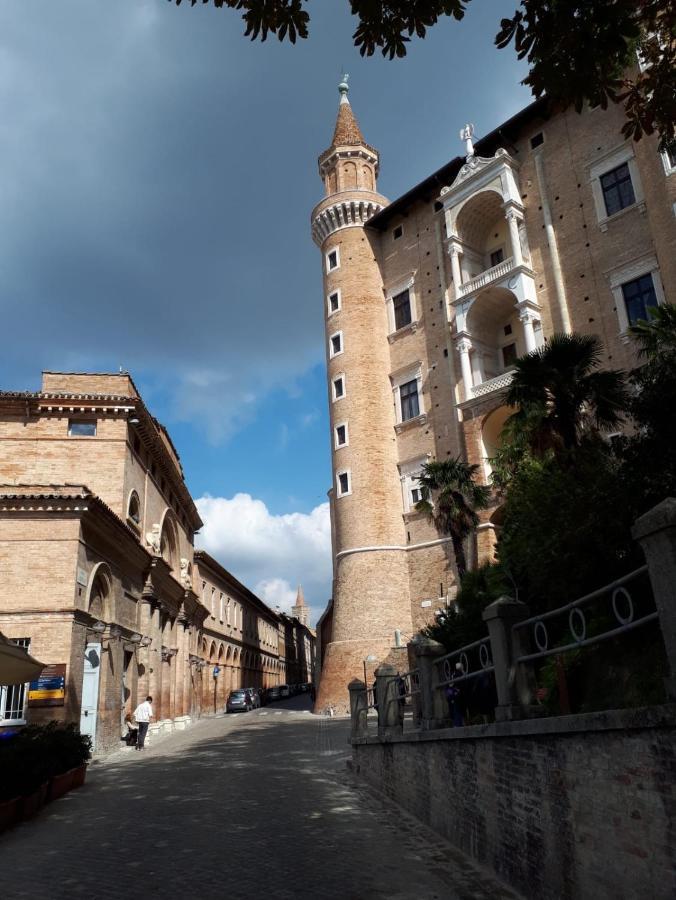 Green B&B Urbino Ca Del Vento Exteriér fotografie